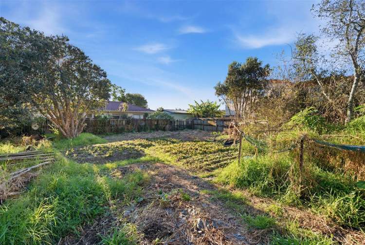 119 ash street Avondale_15