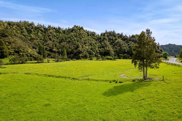 3133 Mokau Road Mokau_3