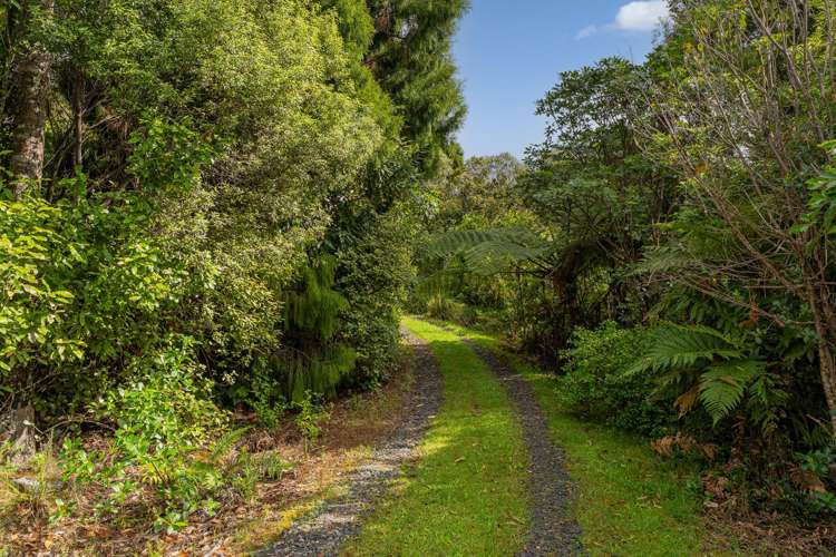 974 The 309 Rd Whitianga_6