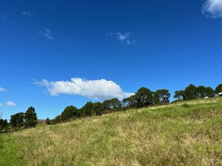 120a Escott Road Dairy Flat_8