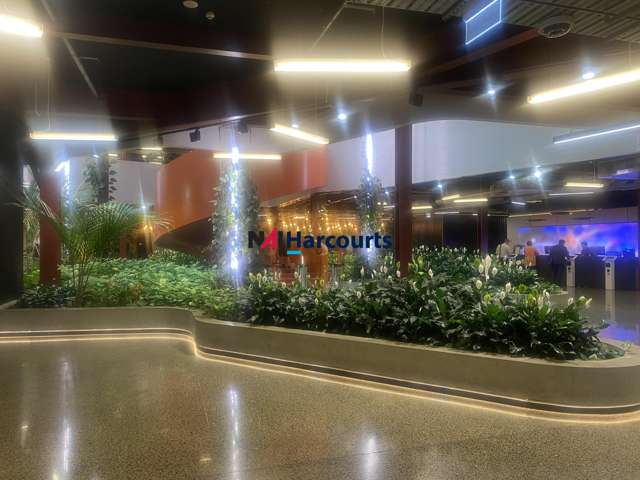 B:Hive/74 Taharoto Road Takapuna_1