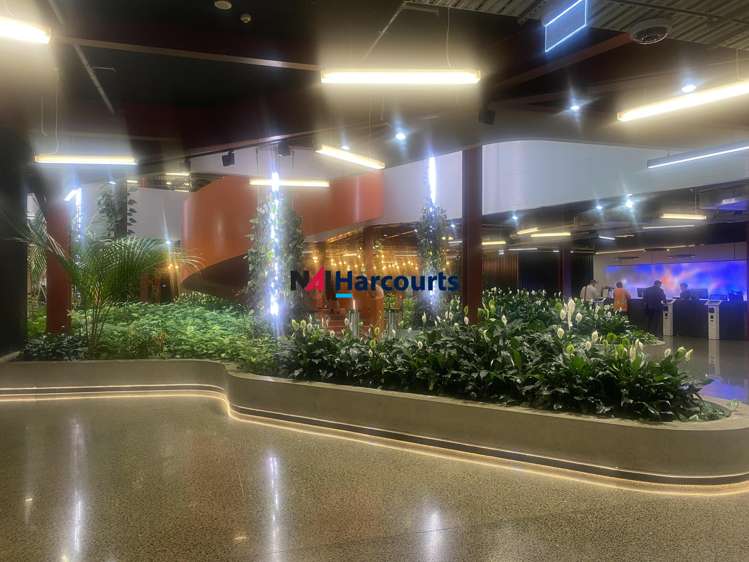 B:Hive/74 Taharoto Road Takapuna_1