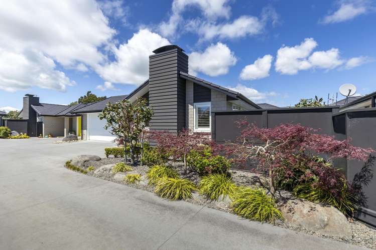 175A Carrington Street Lower Vogeltown_30