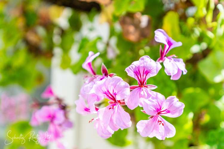 5A Whaka Street Maungaturoto_19