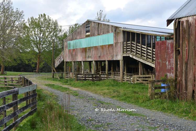 726 Paparoa Station Road Maungaturoto_7