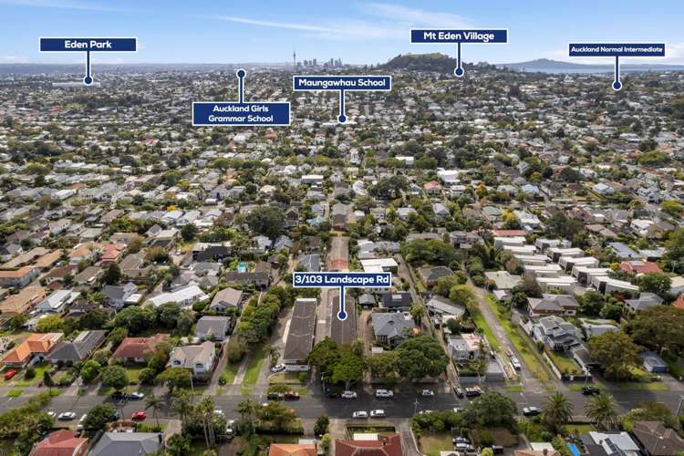 3/103 Landscape Road Mt Eden_11