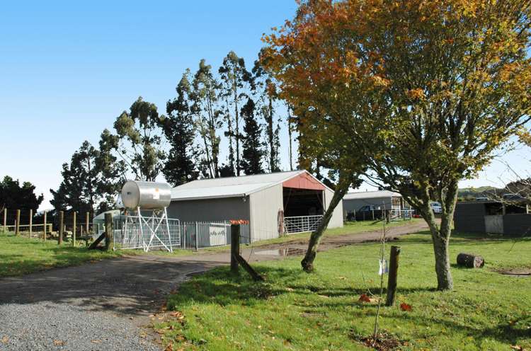 491 Palmer Mill Road Wairakei and Surrounds_2