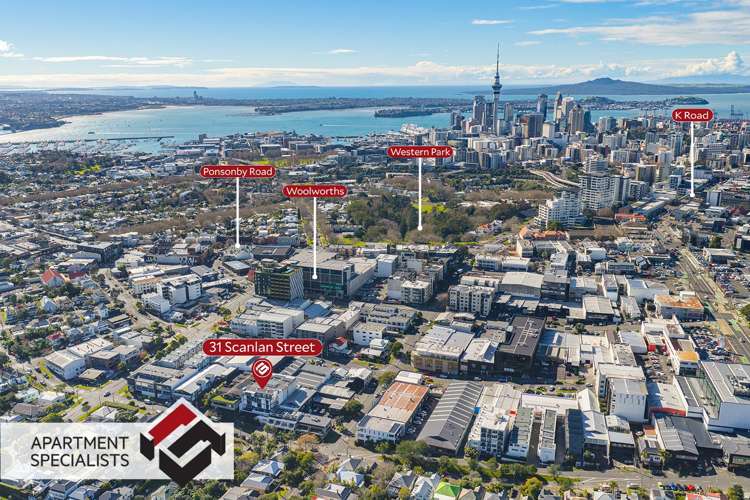 31 Scanlan Street Grey Lynn_20