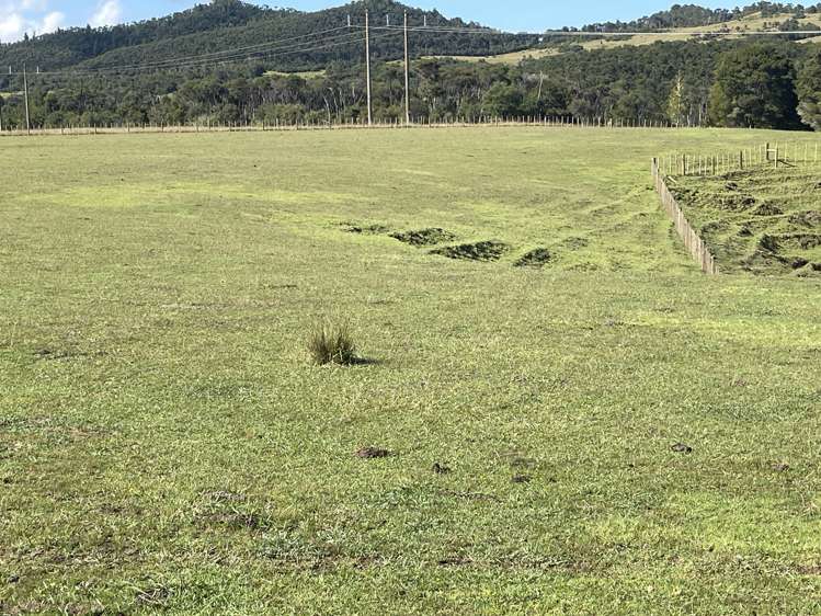 4321 State Highway 1 Mangamuka_18