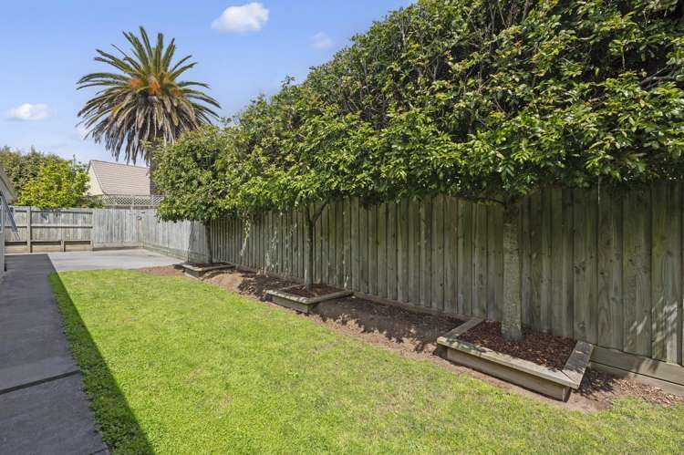 3B Thelma Place Lynmore_22