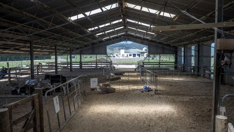 215a Wairio Road Featherston_14