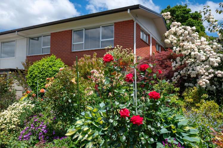 6 Gillam Crescent Springfield_34