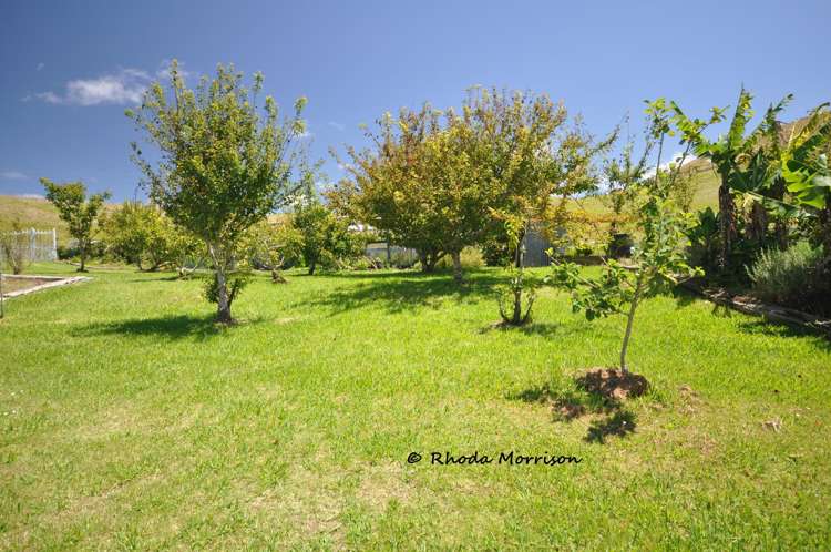 339 Linton Road Maungaturoto_67