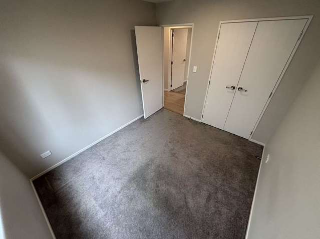 3D Routley Drive Glen Eden_1