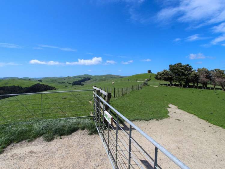 1530 Waihi Valley Road Pongaroa_24