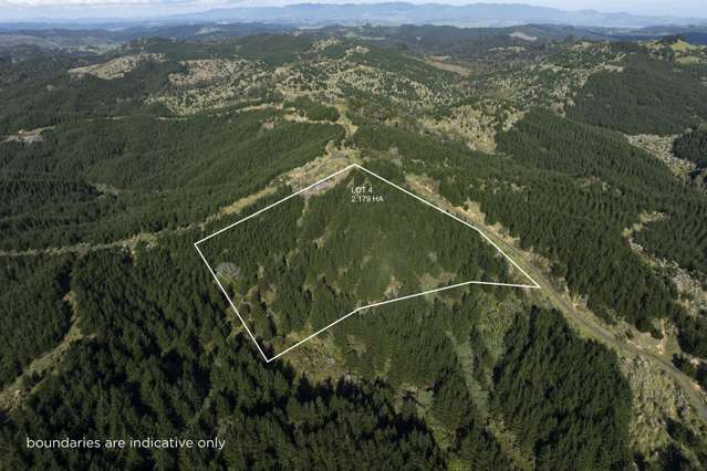 Lot 3 and 4/169 Tunatahi Road Panguru_4