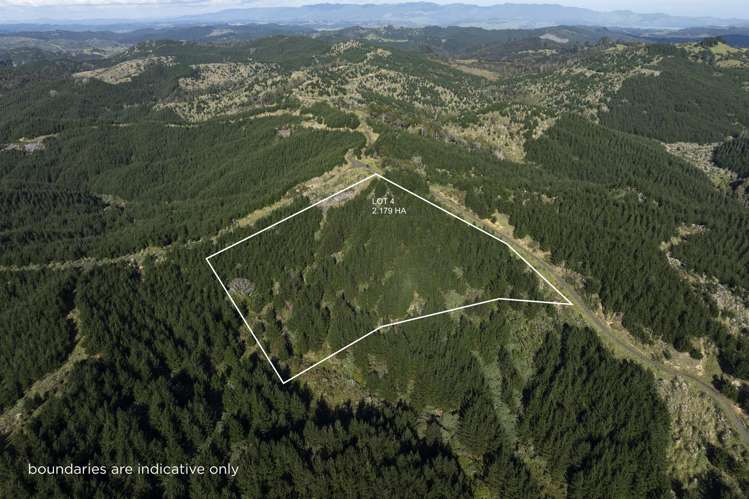 Lot 3 and 4/169 Tunatahi Road_4