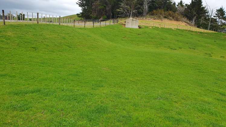 4 Kendall Road Maungakaramea_17