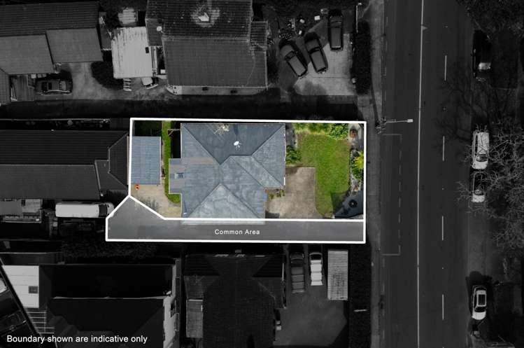 261 Campbell Road Greenlane_18