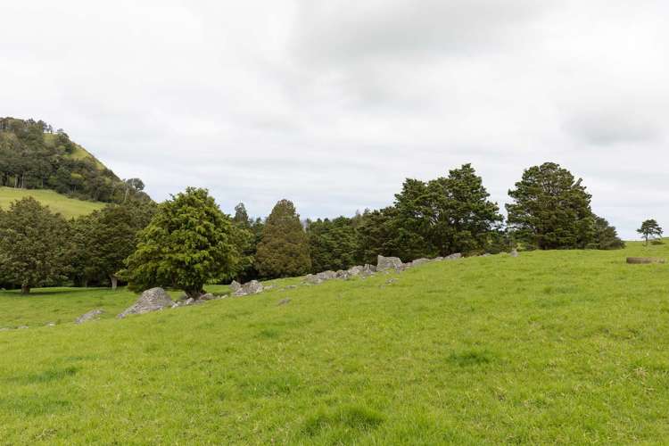 1557 Waihue Road Dargaville Surrounds_14