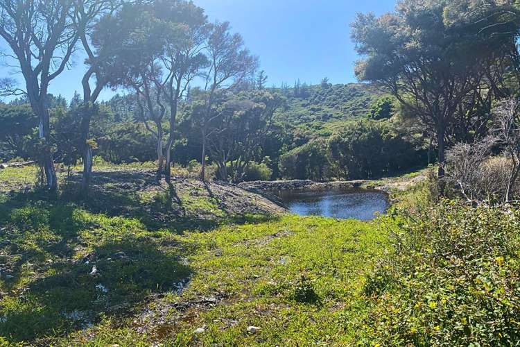 Lot 3/161 Wharariki Road_5