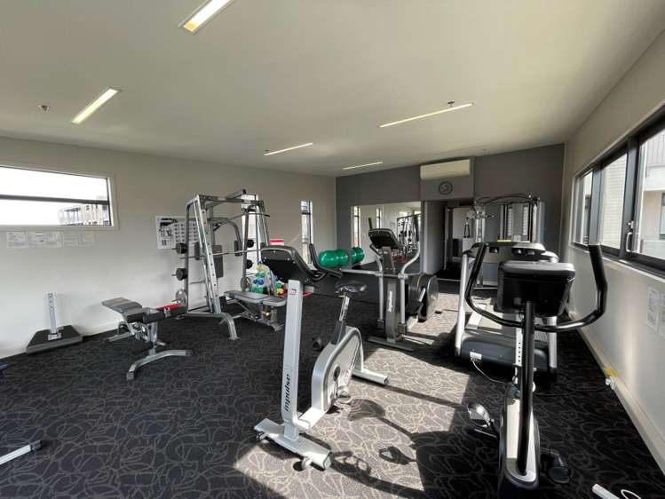 08/2g Bluegrey Avenue Stonefields_17