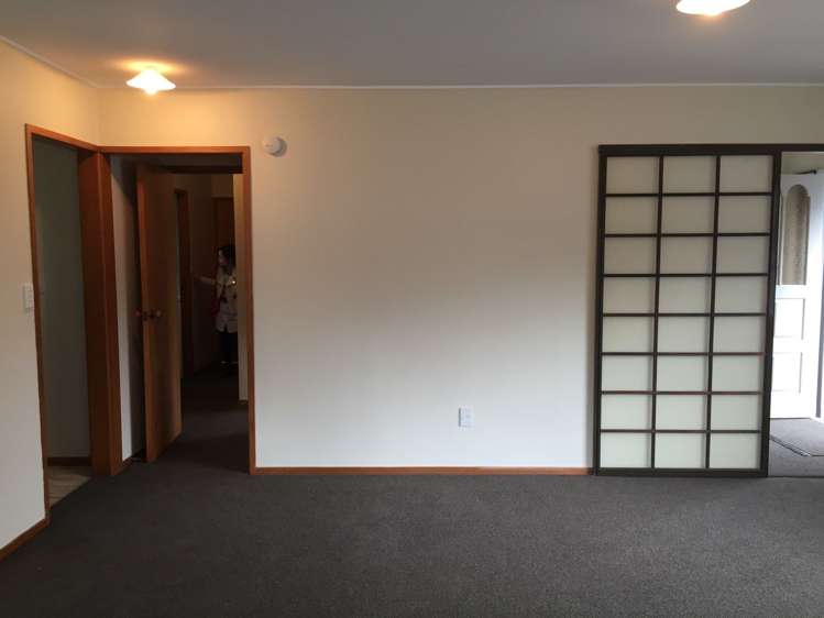 17 Mapau Road Greenlane_6