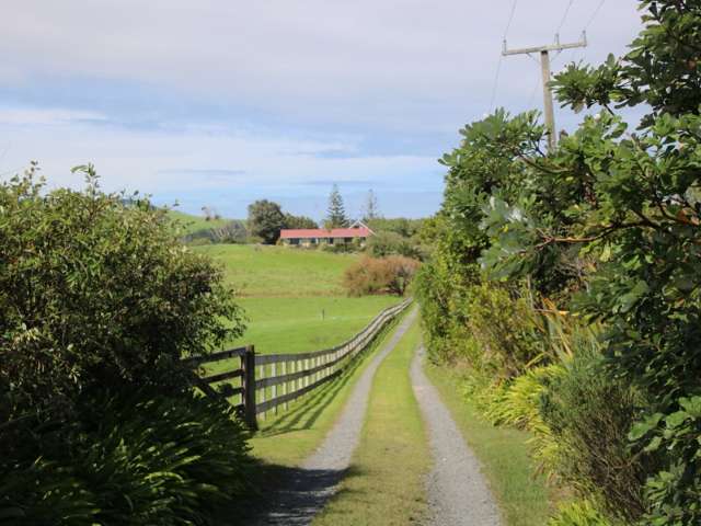 817 Baylys Coast Road Dargaville Surrounds_4