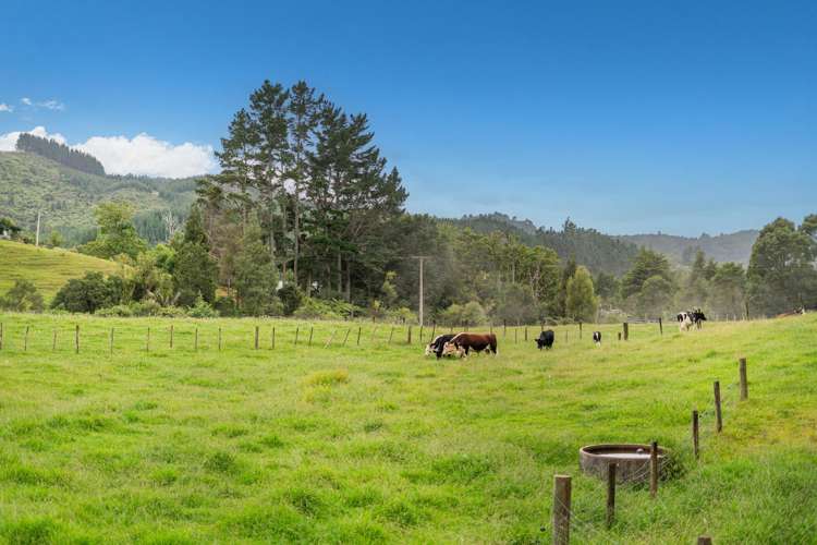 365 Mill Creek Road Whitianga_66