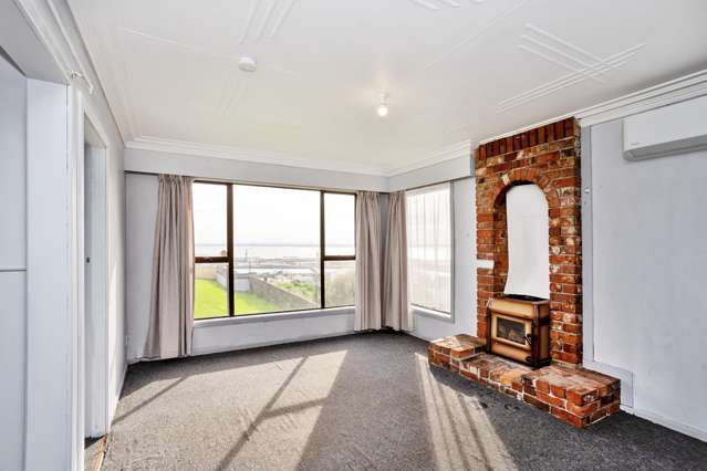 203 Lagan Street Bluff_1