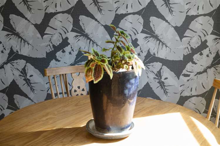 45 Carroll Street Waharoa_10