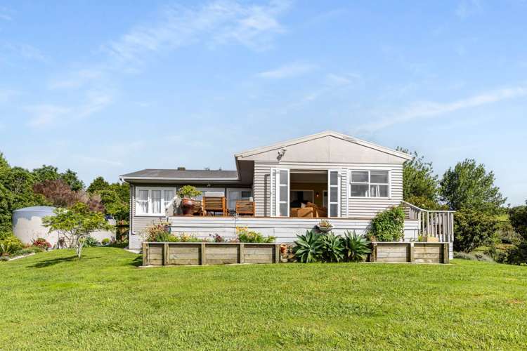 561 Settlement Road Kaiwaka_5