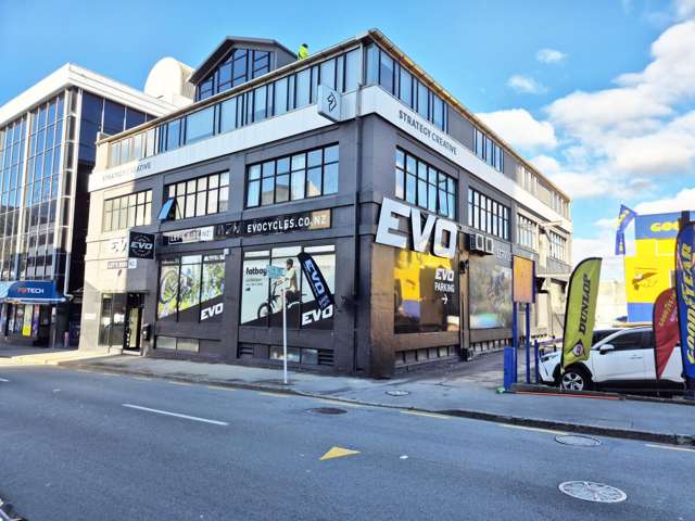 11 Vivian Street Te Aro_1