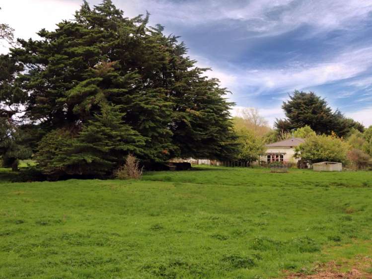 50 Gladstone Street Woodville_2