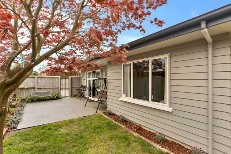 17a Sumner Street Spreydon_3