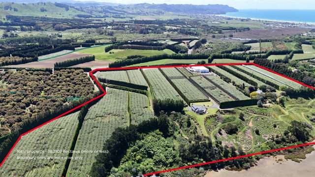 187 Athenree Road Athenree_2