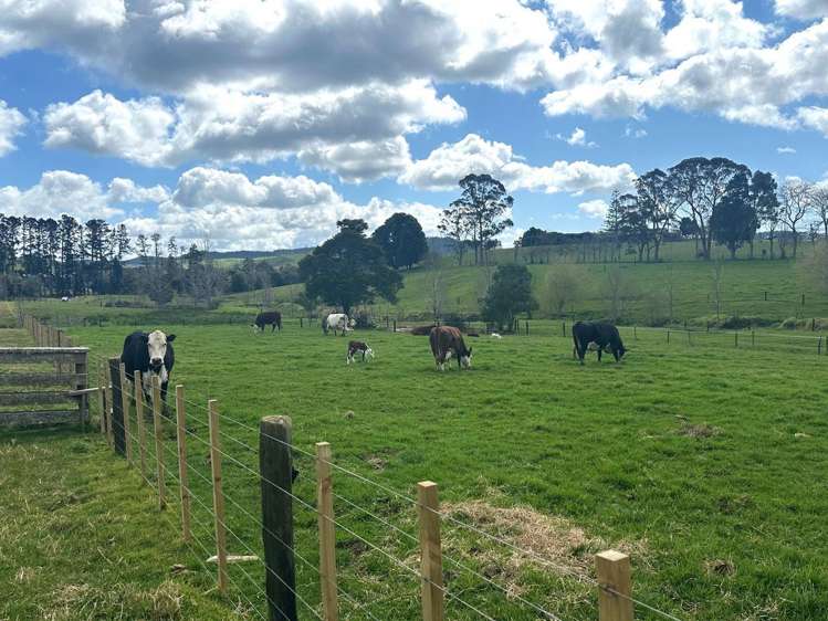 Puketona Road Paihia_3