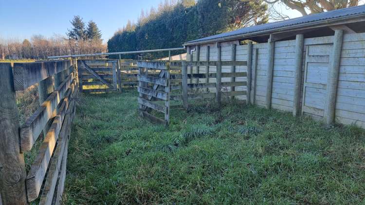 472 Pesters Road West Eyreton_20