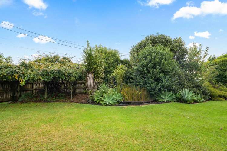 16 Radcliffe Street Kensington_20