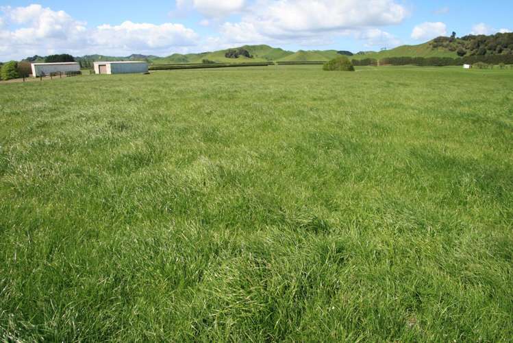 734 Bird Road Pukengahu_7