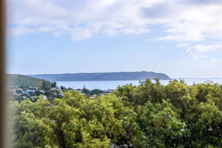 20 Spur Grove Titahi Bay_1