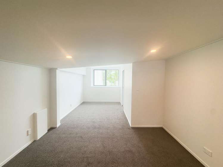 315 Dominion Road Mount Eden_12