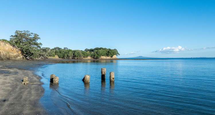 3 Daisy Burrell Drive Gulf Harbour_71