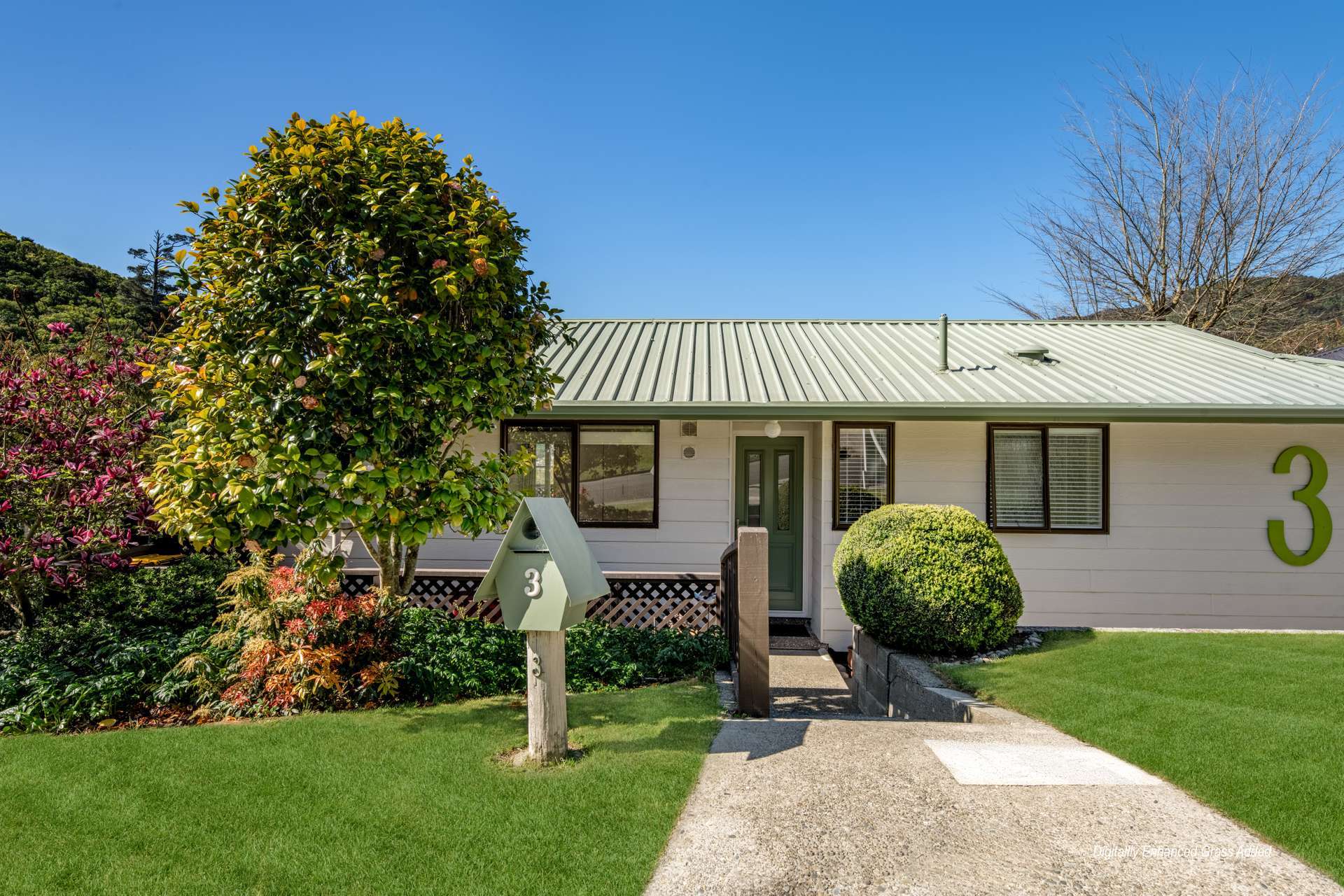 3 Webster Place Picton_0