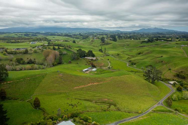 79 Dorset Road Hillsborough_36