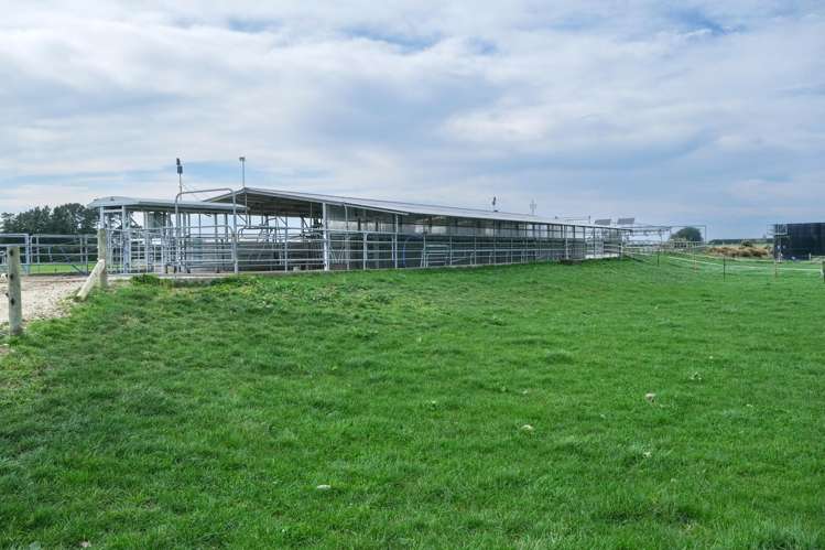 38 Williams Road Eiffelton_11