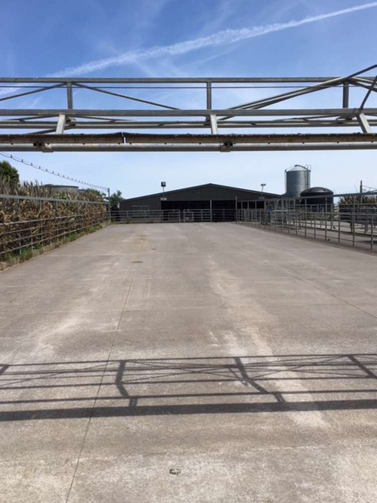 1703 Eltham Road Riverlea_7