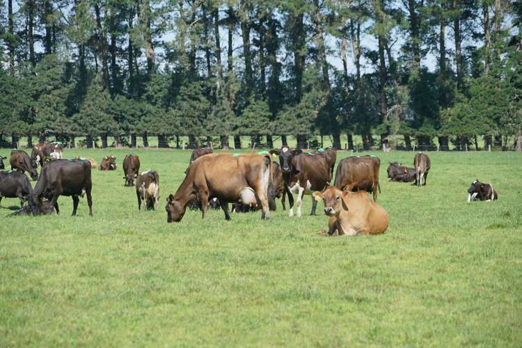 319 Mitchells Road Bankside_3