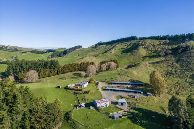 205 Tourere Road Dannevirke_1