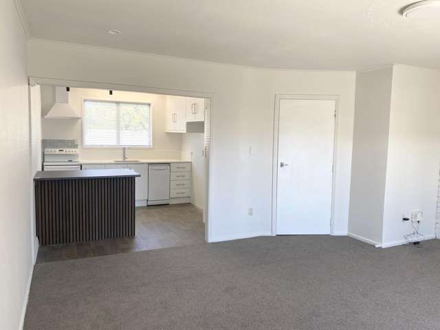 3/46 Grey Street Ashburton_2